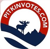 voting polls in a line