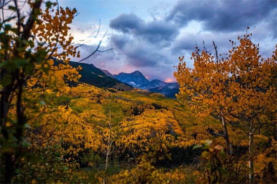 Snowmass Fall Scenery