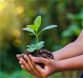 Environmental Leaders