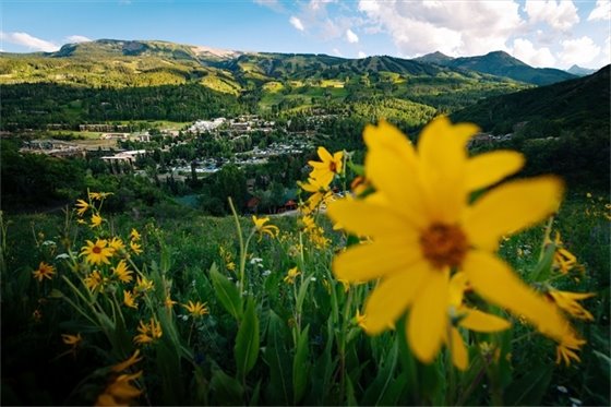 TOSV wildflower and the village