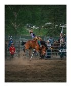 Rodeo bronc rider